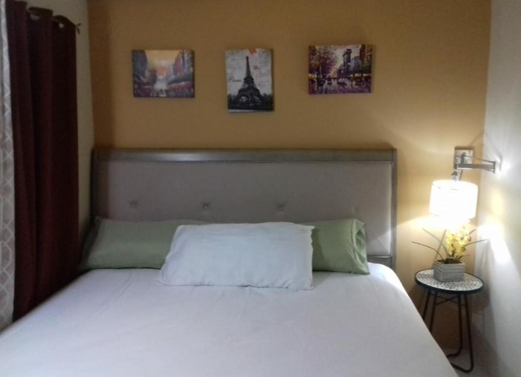 Merrivale Suite Kingston Extérieur photo